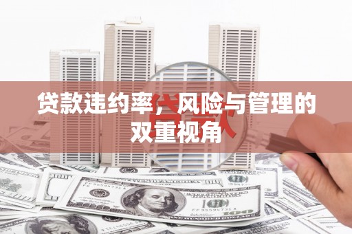 福田贷款违约率，风险与管理的双重视角