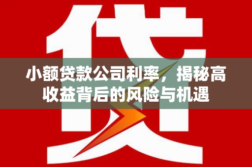 福田小额贷款公司利率，揭秘高收益背后的风险与机遇