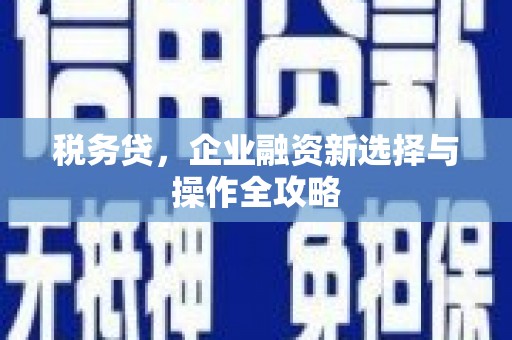 福田税务贷，企业融资新选择与操作全攻略