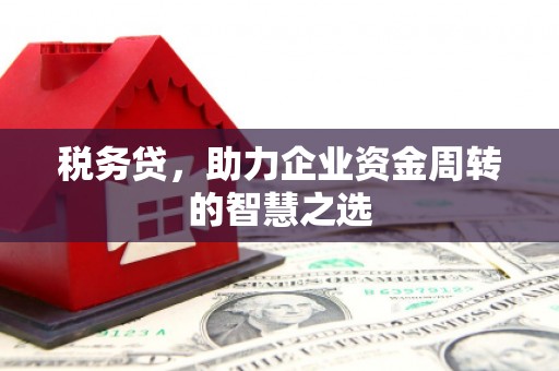 福田税务贷，助力企业资金周转的智慧之选