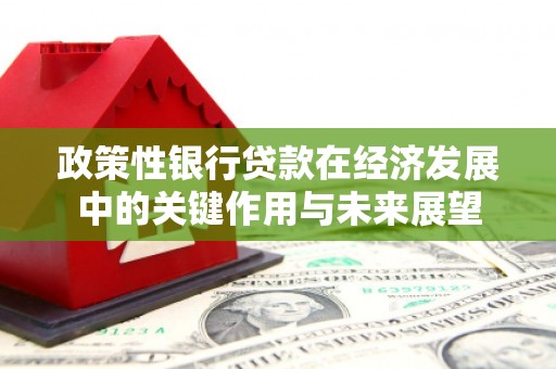 福田政策性银行贷款在经济发展中的关键作用与未来展望