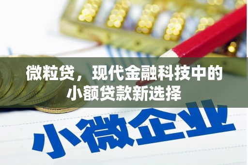 福田微粒贷，现代金融科技中的小额贷款新选择