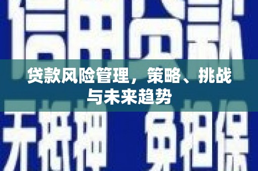 福田贷款风险管理，策略、挑战与未来趋势