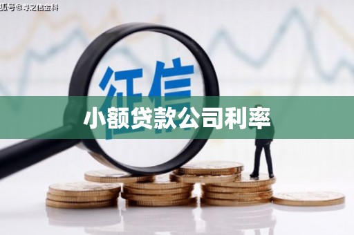 福田小额贷款公司利率
