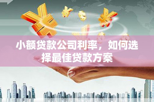 福田小额贷款公司利率，如何选择最佳贷款方案