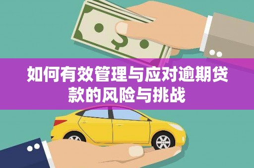 福田如何有效管理与应对逾期贷款的风险与挑战