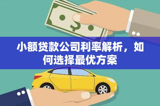 福田小额贷款公司利率解析，如何选择最优方案