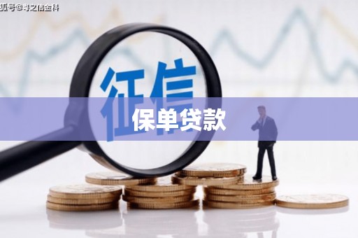 福田保单贷款