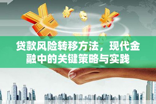 福田贷款风险转移方法，现代金融中的关键策略与实践