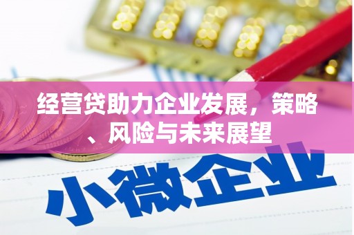 福田经营贷助力企业发展，策略、风险与未来展望