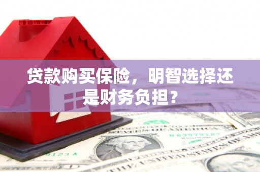 福田贷款购买保险，明智选择还是财务负担？