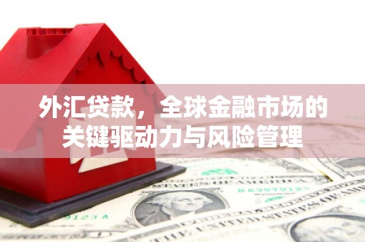 福田外汇贷款，全球金融市场的关键驱动力与风险管理