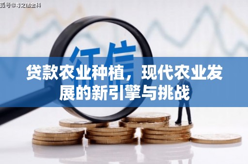 福田贷款农业种植，现代农业发展的新引擎与挑战