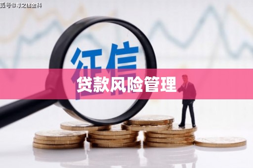 福田贷款风险管理