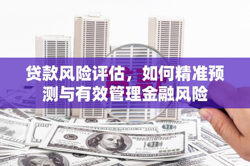 福田贷款风险评估，如何精准预测与有效管理金融风险