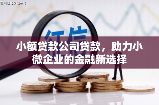 福田小额贷款公司贷款，助力小微企业的金融新选择