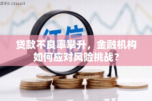 福田贷款不良率攀升，金融机构如何应对风险挑战？