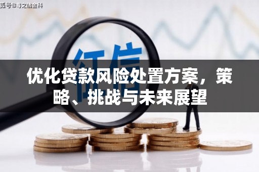 福田优化贷款风险处置方案，策略、挑战与未来展望