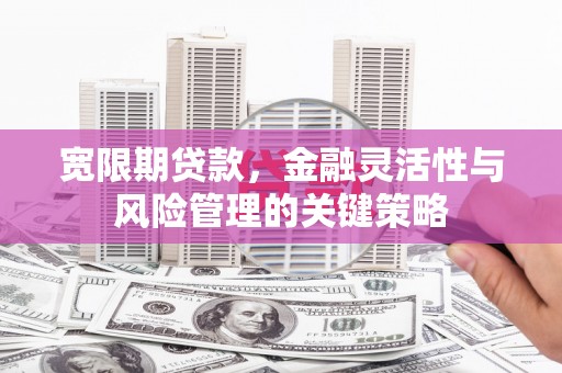 福田宽限期贷款，金融灵活性与风险管理的关键策略