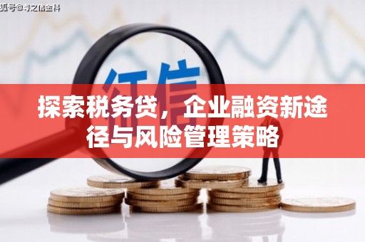 福田探索税务贷，企业融资新途径与风险管理策略