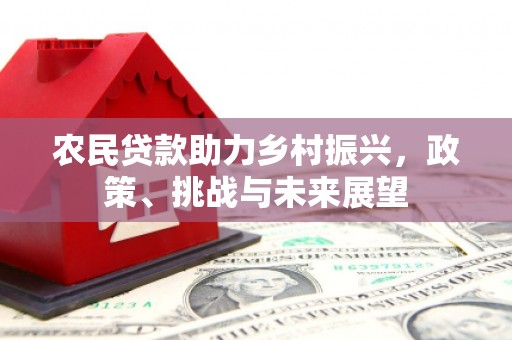 福田农民贷款助力乡村振兴，政策、挑战与未来展望