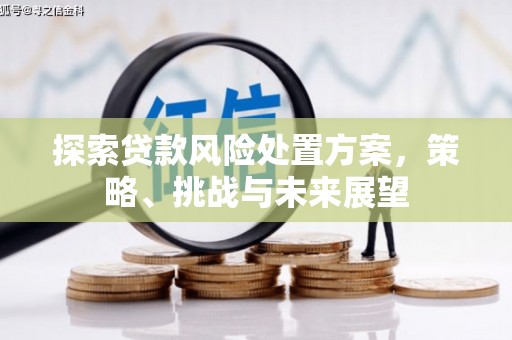 福田探索贷款风险处置方案，策略、挑战与未来展望