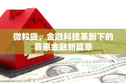 福田微粒贷，金融科技革新下的普惠金融新篇章