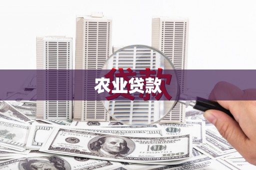 福田农业贷款