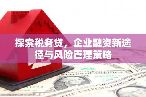 福田探索税务贷，企业融资新途径与风险管理策略