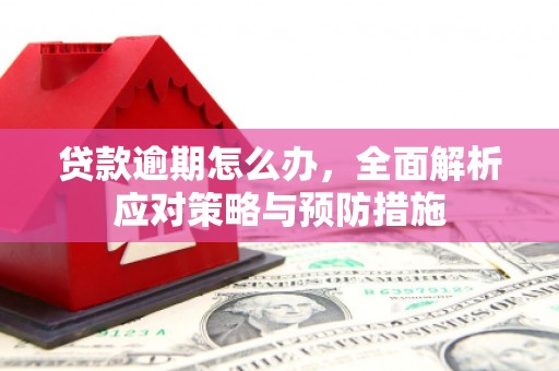 福田贷款逾期怎么办，全面解析应对策略与预防措施
