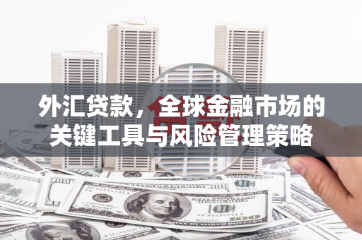 福田外汇贷款，全球金融市场的关键工具与风险管理策略