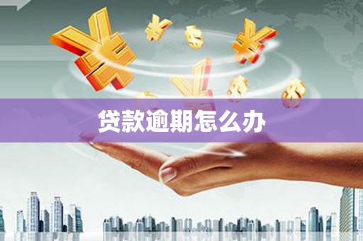 福田贷款逾期怎么办