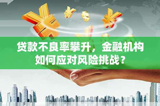 福田贷款不良率攀升，金融机构如何应对风险挑战？