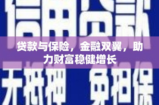 福田贷款与保险，金融双翼，助力财富稳健增长