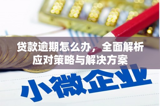 福田贷款逾期怎么办，全面解析应对策略与解决方案