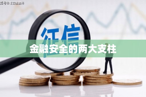 福田金融安全的两大支柱