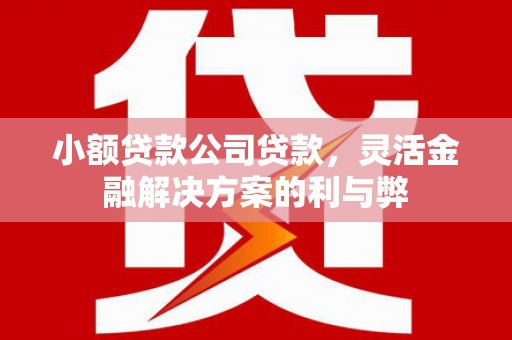 福田小额贷款公司贷款，灵活金融解决方案的利与弊